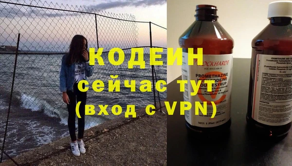 прущие грибы Вяземский