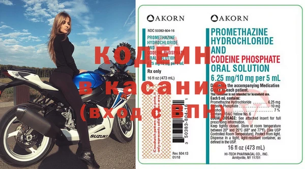 прущие грибы Вяземский