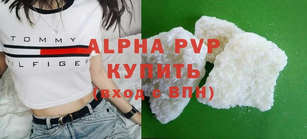 прущие грибы Вяземский