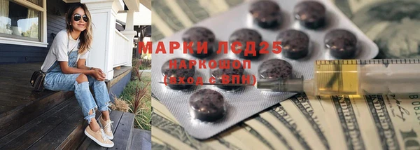 прущие грибы Вяземский