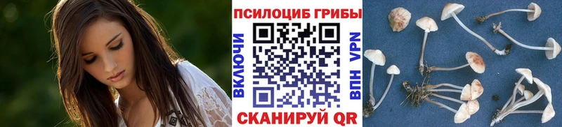 Галлюциногенные грибы Psilocybine cubensis  Ивдель 